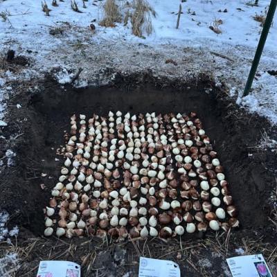 476604886 122181520298250417 6232349138890213910 N