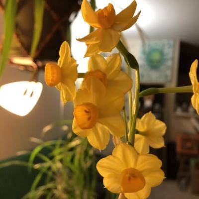 476767997 122181523922250417 4059347386569065445 N