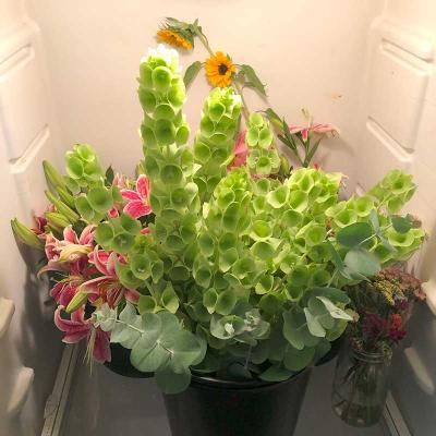 Bellsof Irelandimg 87621